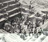 ������һ�ź�Ĺ�ķ����ֳ�