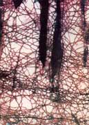 ��Ⱦ����