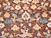 �δ��˿�����ȵ�ס�